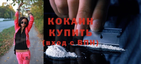 соль ск Алексин