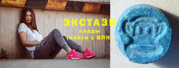 соль ск Алексин
