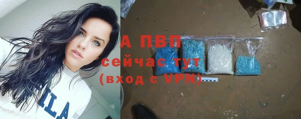 соль ск Алексин