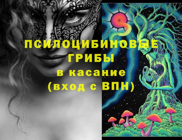 соль ск Алексин