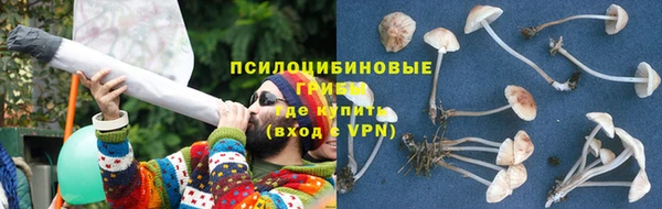ПСИЛОЦИБИНОВЫЕ ГРИБЫ Алзамай