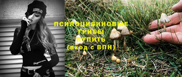 ПСИЛОЦИБИНОВЫЕ ГРИБЫ Алзамай
