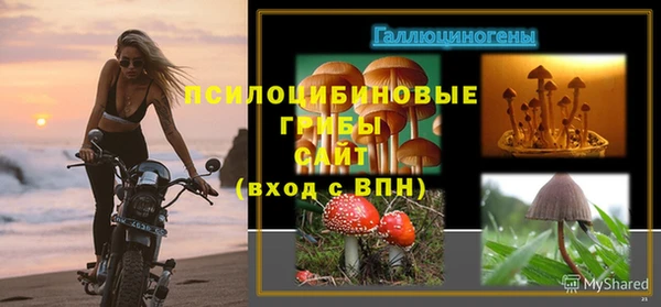 соль ск Алексин