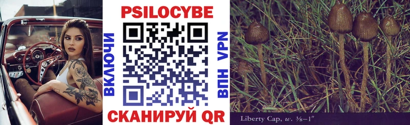 Псилоцибиновые грибы Cubensis Тюкалинск